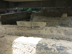 Ruins of the 5th Cent. Basilica at Capernaum - built over the house of St. Peter