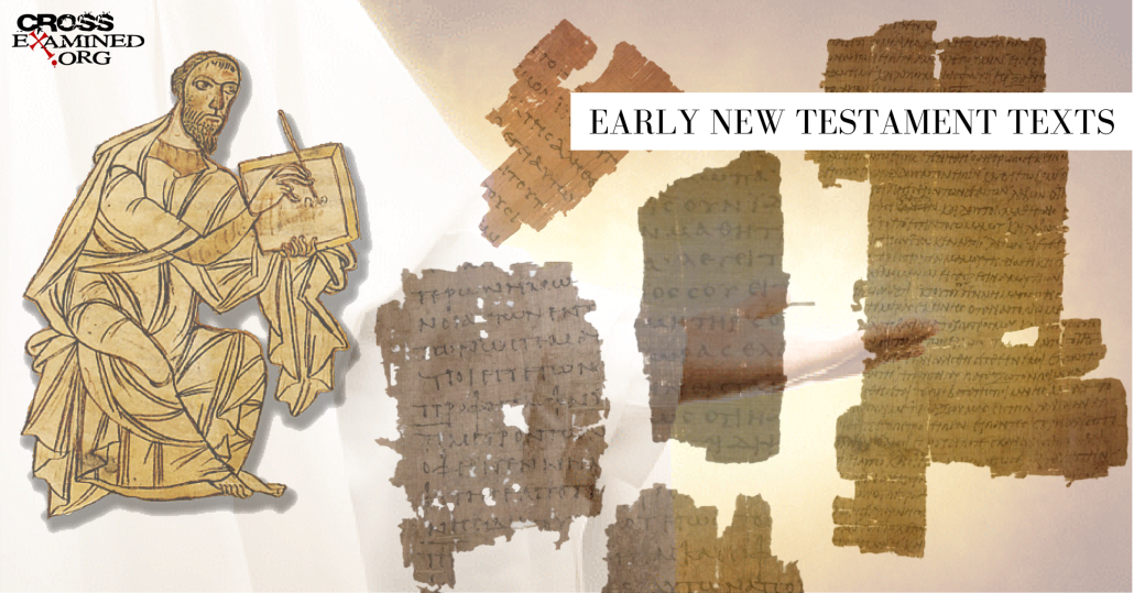 Early org. Early org. Steam early access. Cloacaspis. Png timeline to today.