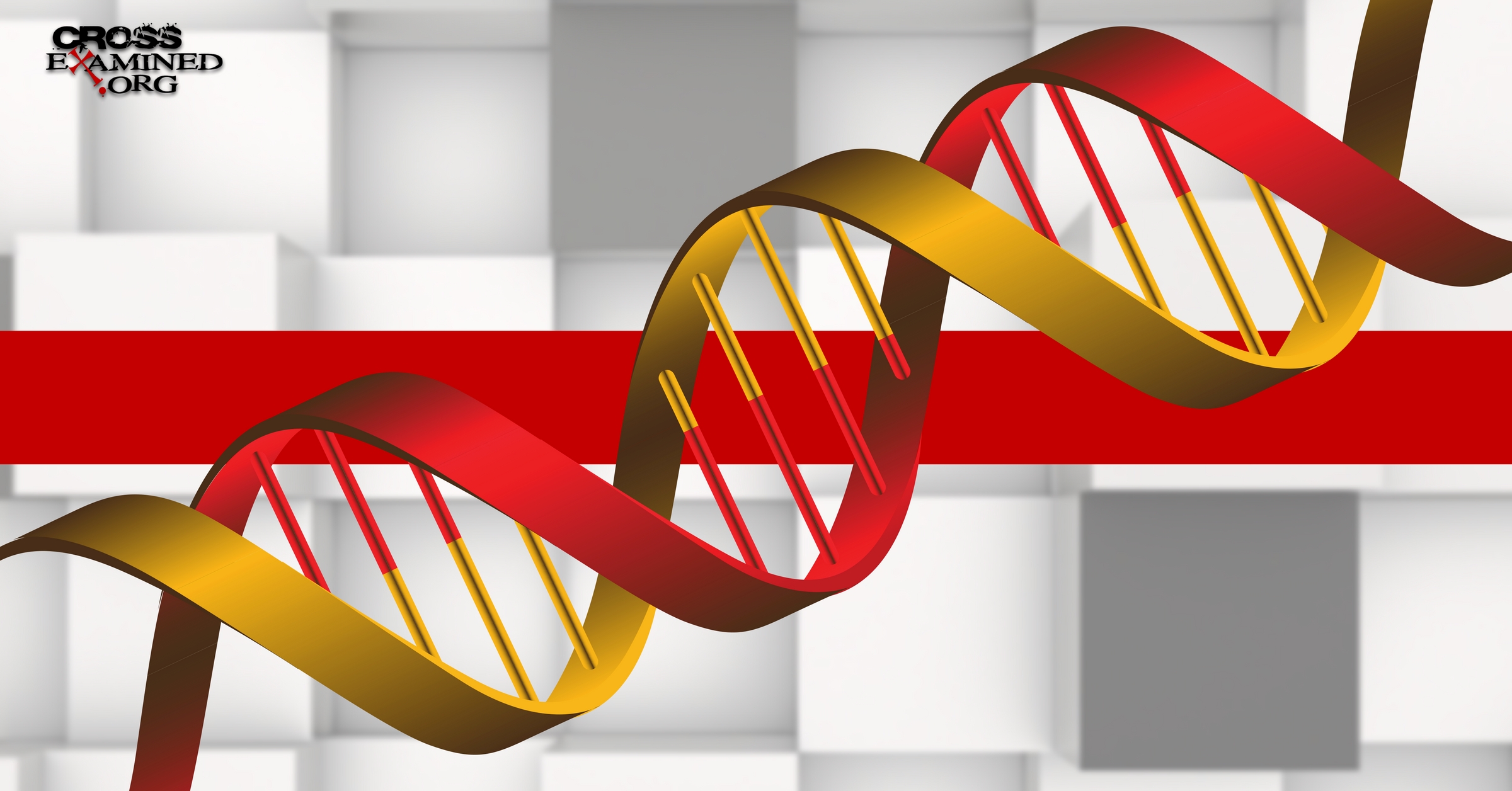 Debating Atheists Biological Information