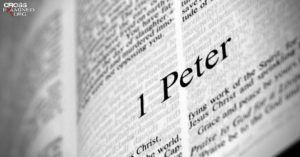 ¿Quién escribió las cartas de Pedro?