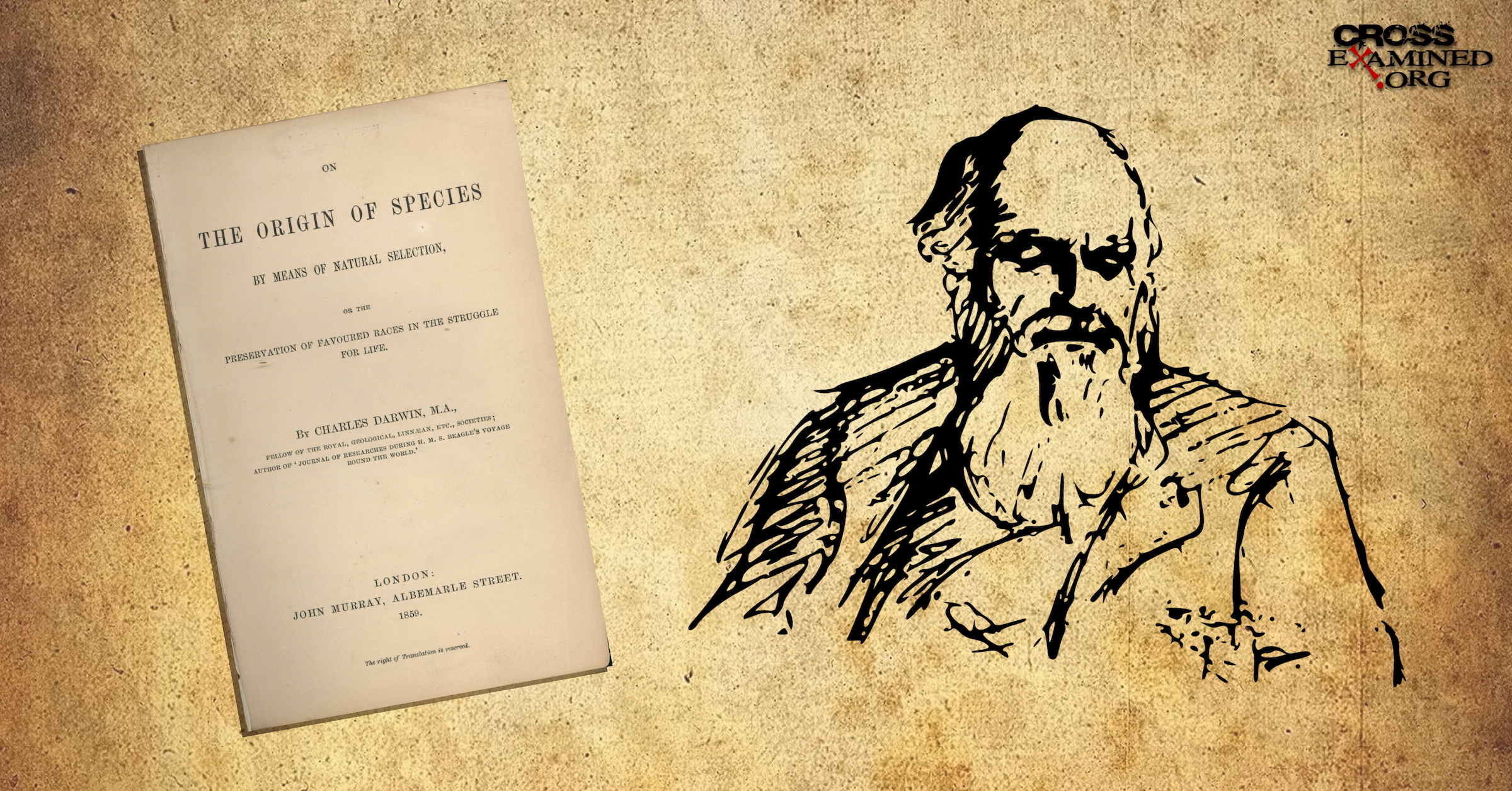 The Darwin Tales