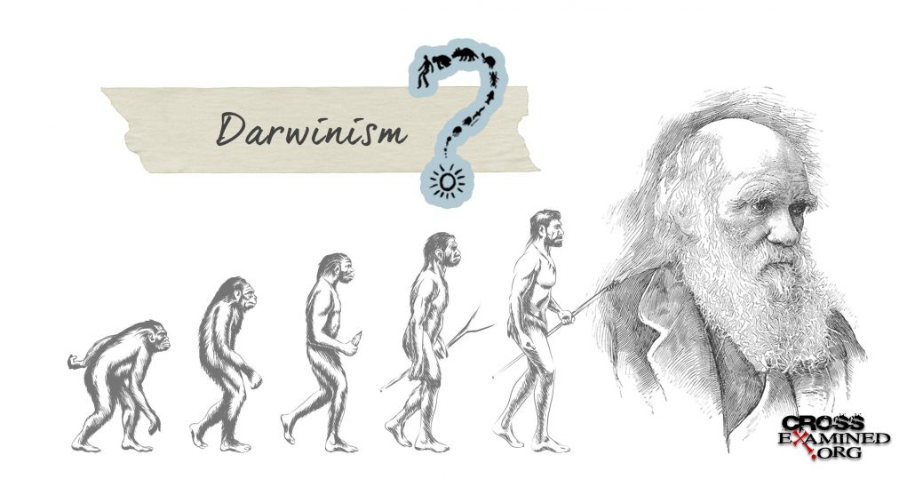 Yale computer science professor David Gelernter expresses doubts about Darwinism