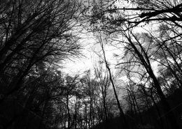 Is Hell Torment or Torture and Is there a Difference?