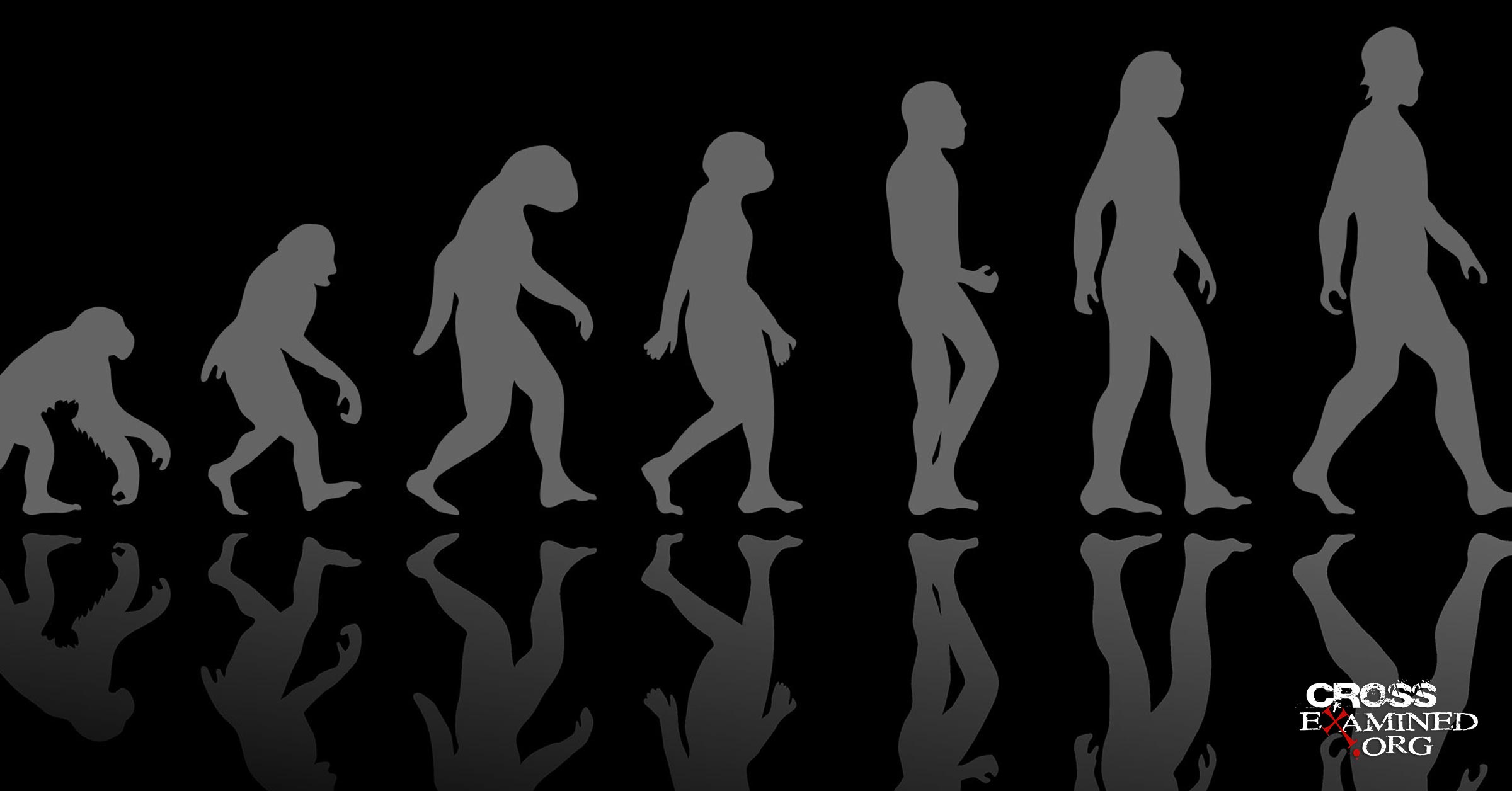 Why Studying Evolution Will Likely Challenge Your Kids’ Faith