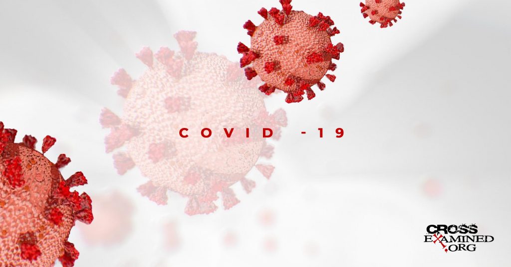 What COVID-19 Reveals About Us: Four Categories of People Surfaced from the Pandemic