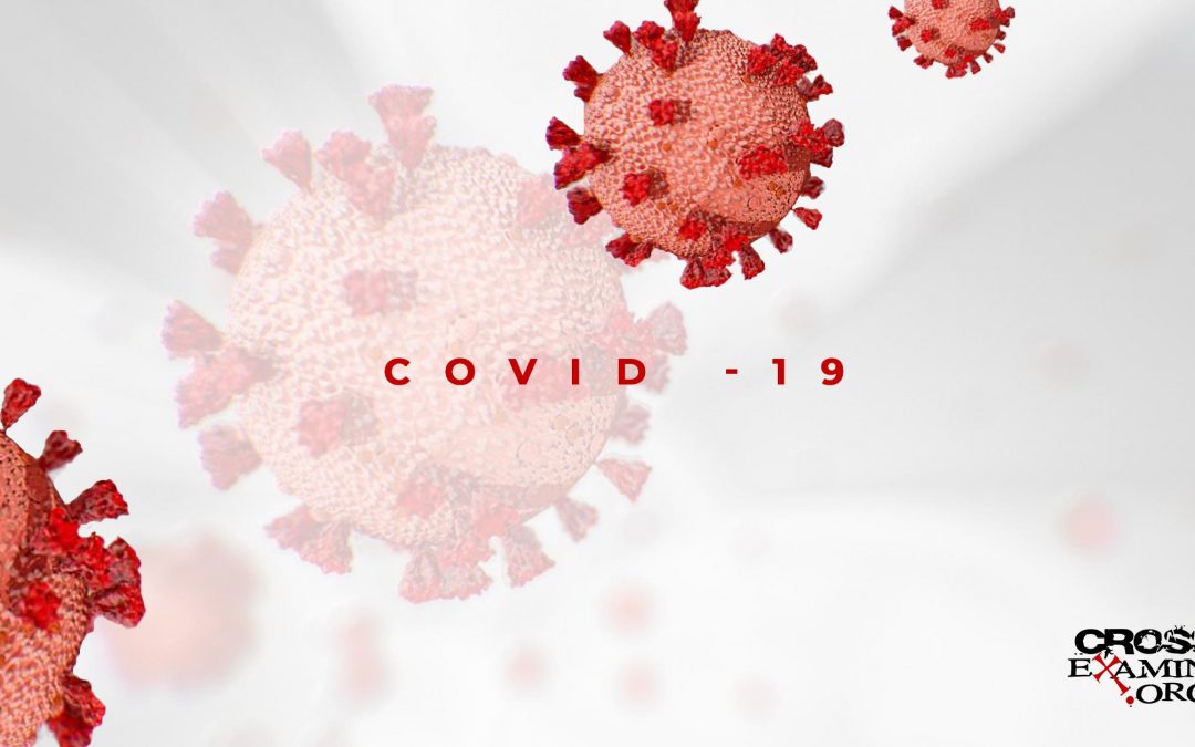 What COVID-19 Reveals About Us: Four Categories of People Surfaced from the Pandemic