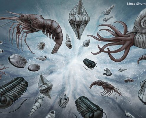 Does The Cambrian Explosion Disprove Darwinism?