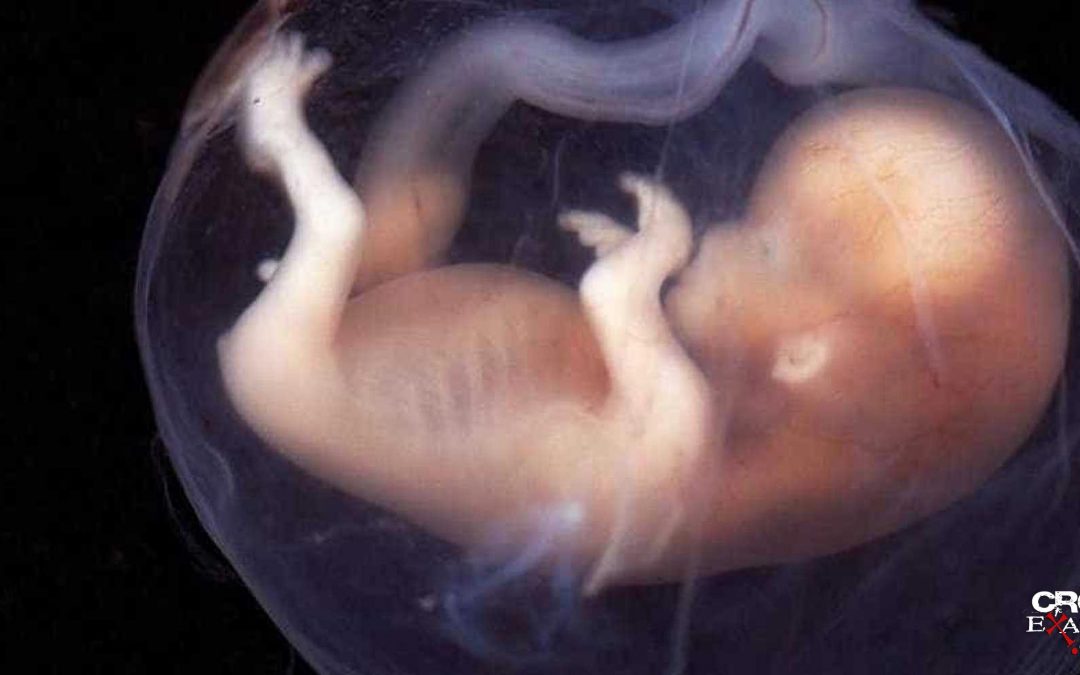 The Power Of Pro-Life Images