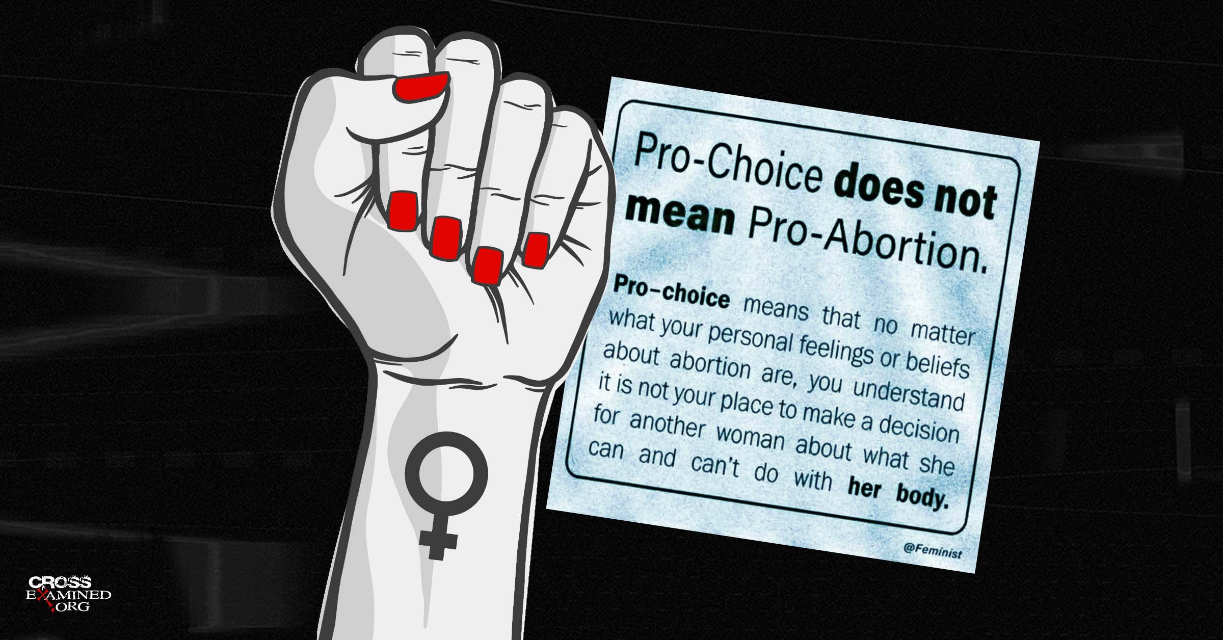 These Viral Pro Choice Memes Miss The Point And Fail The Test Of Logic