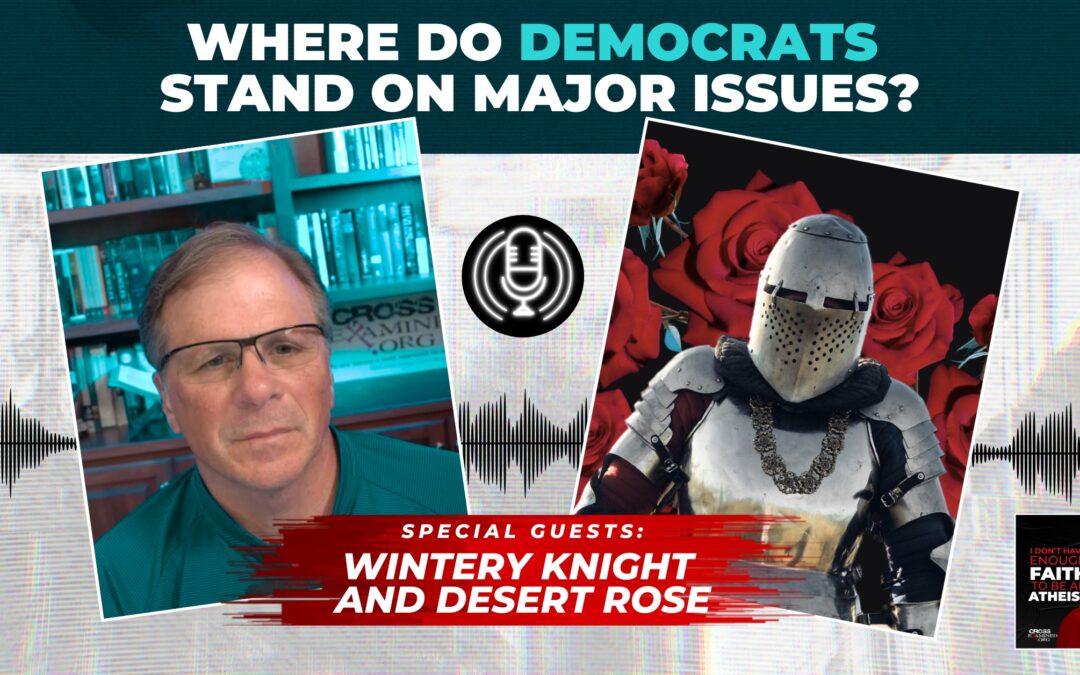 Where Do Democrats Stand on Major Issues? | with Wintery Knight and Desert Rose