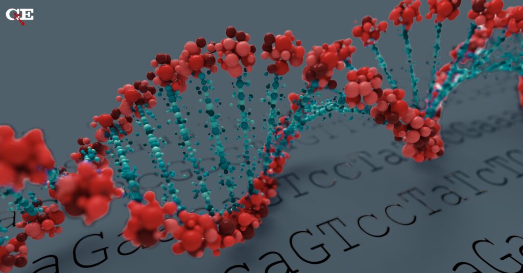 The DNA Replisome: A Paradigm of Design