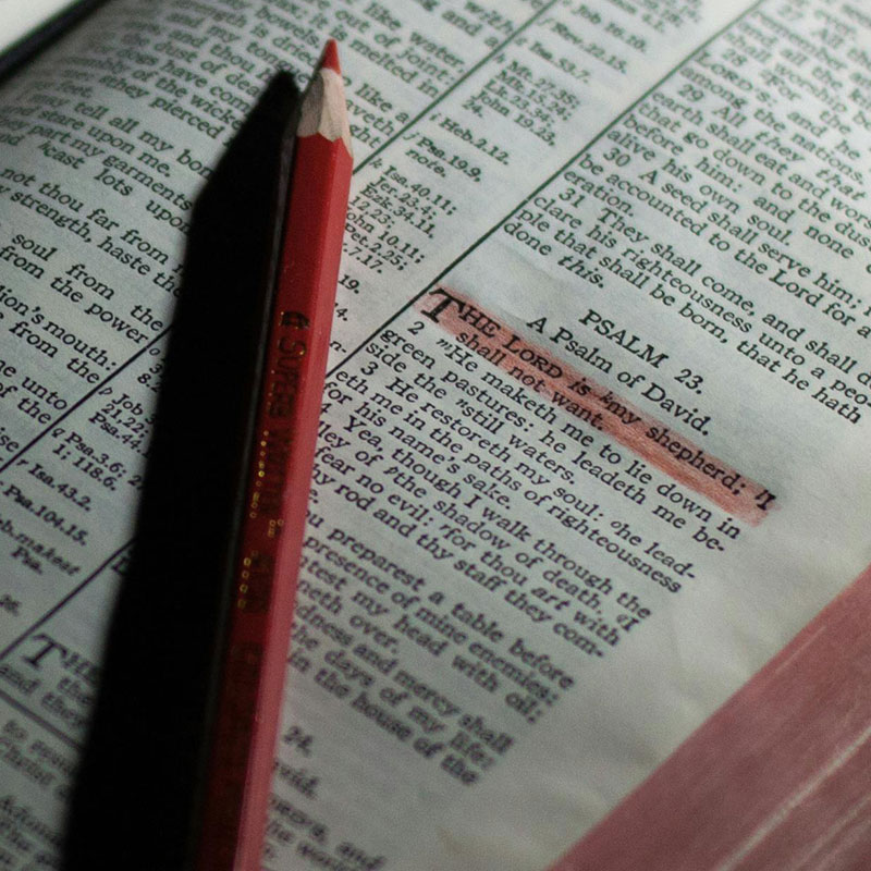 The Bible